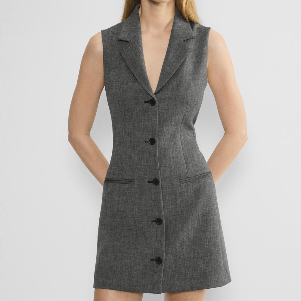 BNWT Babaton Mastermind dress in gray pinstripe